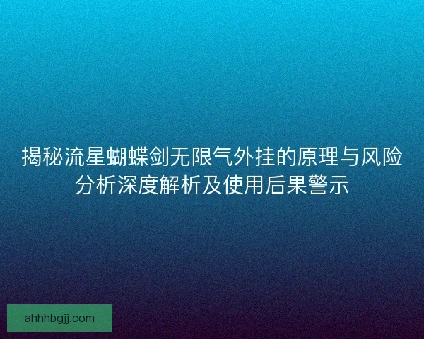 揭秘流星蝴蝶剑无限气外挂的原理与风险分析深度解析及使用后果警示