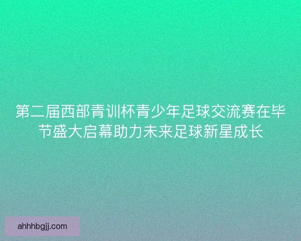 第二届西部青训杯青少年足球交流赛在毕节盛大启幕助力未来足球新星成长